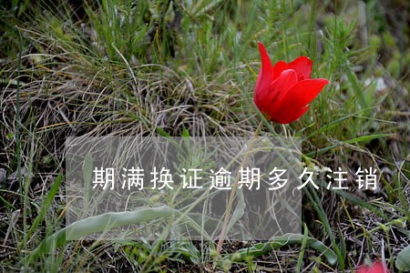 期满换证逾期多久注销