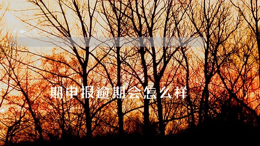 期申报逾期会怎么样