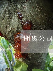 期货公司员工从事配资违法吗