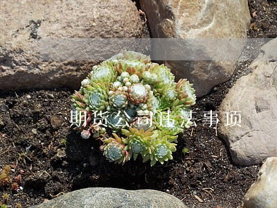 期货公司违法事项
