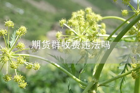 期货群收费违法吗