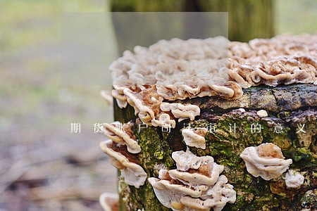 期货账户司法审计的意义