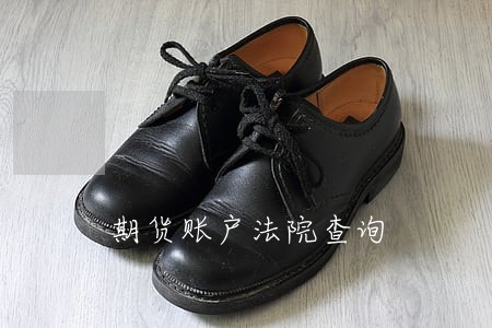期货账户法院查询