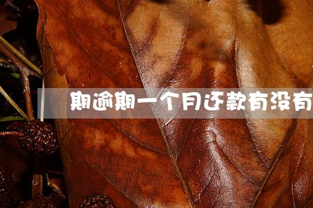 期逾期一个月还款有没有影响 期逾期一个月还款有没有影响