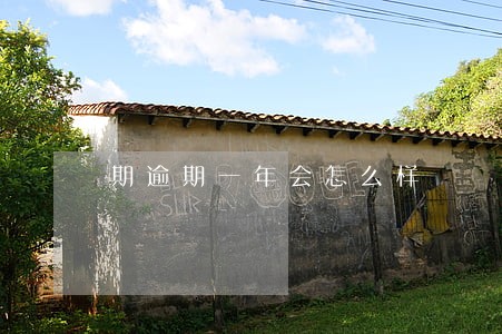 期逾期一年会怎么样
