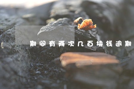 期间有两次几百块钱逾期 期间有两次几百块钱逾期