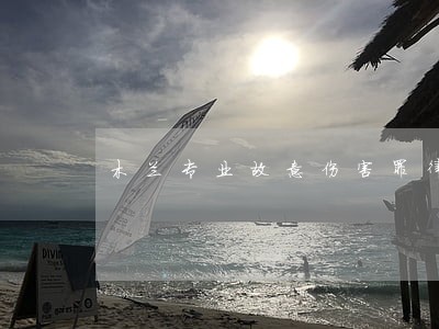 木兰专业故意伤害罪律师哪家好