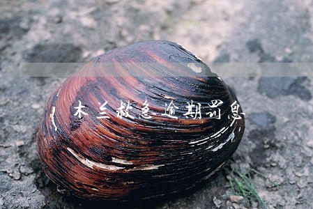 木兰救急逾期罚息