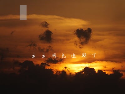 木木钱包逾期了 木木钱包逾期了
