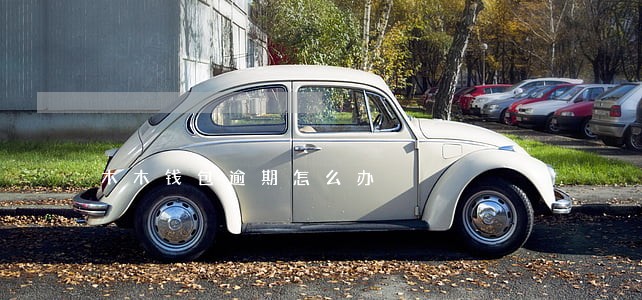 木木钱包逾期怎么办 木木钱包逾期怎么办