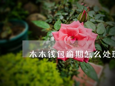木木钱包逾期怎么处理