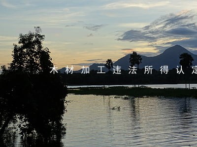 木材加工违法所得认定