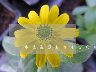 木里藏族自治县合同纠纷律师 木里藏族自治县合同纠纷律师
