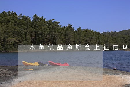 木鱼优品逾期会上征信吗 木鱼优品逾期会上征信吗