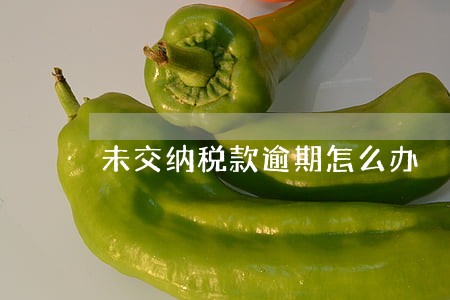 未交纳税款逾期怎么办