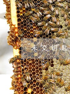 未交钥匙逾期违约金 未交钥匙逾期违约金