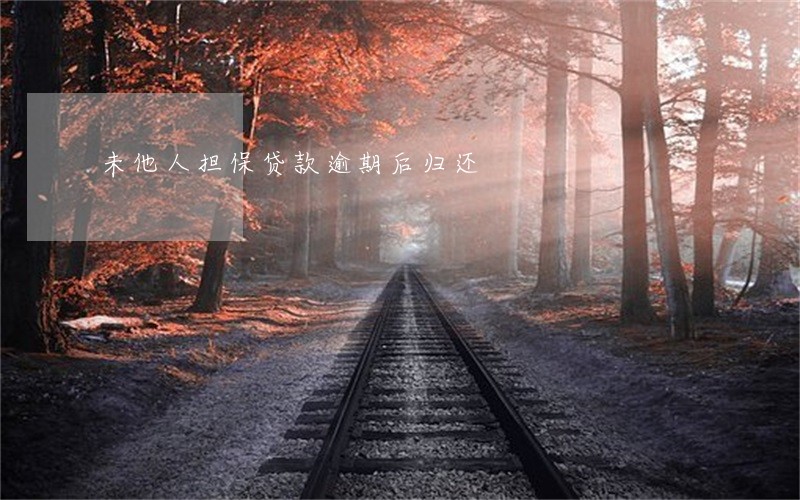 未他人担保贷款逾期后归还 未他人担保贷款逾期后归还
