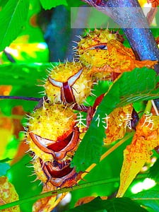 未付清房款房子被法院查封 未付清房款房子被法院查封