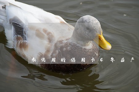 未使用的信用卡6年后产生逾期 未使用的信用卡6年后产生逾期
