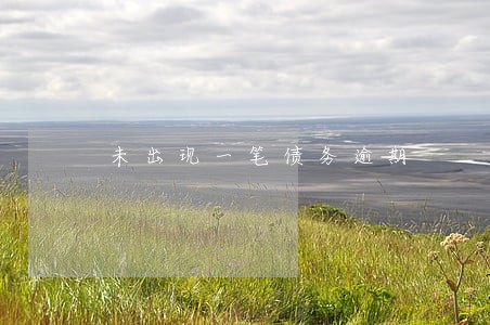 未出现一笔债务逾期 未出现一笔债务逾期