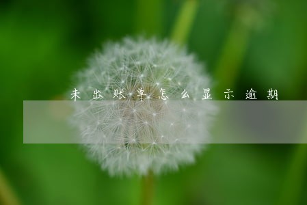 未出账单怎么显示逾期