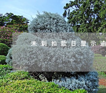未到扣款日显示逾期
