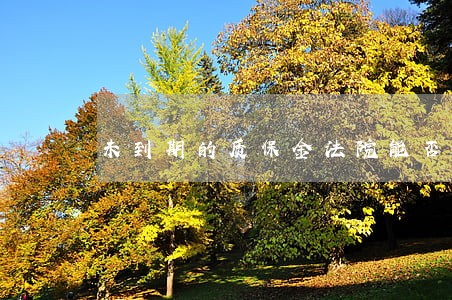 未到期的质保金法院能否冻结 未到期的质保金法院能否冻结