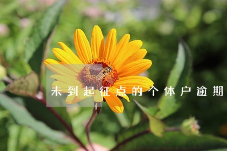 未到起征点的个体户逾期申报 未到起征点的个体户逾期申报