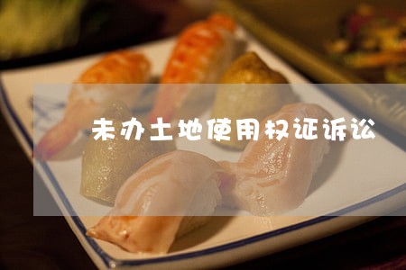 未办土地使用权证诉讼