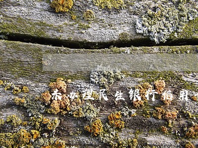 未办理民生银行信用卡说我逾期 未办理民生银行信用卡说我逾期