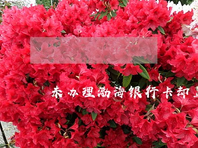 未办理渤海银行卡却显示逾期 未办理渤海银行卡却显示逾期