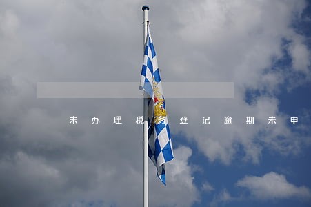 未办理税务登记逾期未申报 未办理税务登记逾期未申报