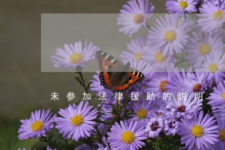未参加法律援助的说明 未参加法律援助的说明