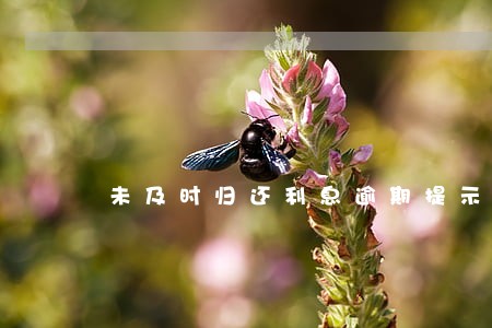 未及时归还利息逾期提示 未及时归还利息逾期提示
