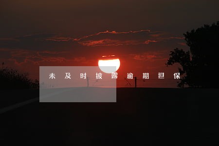 未及时披露逾期担保
