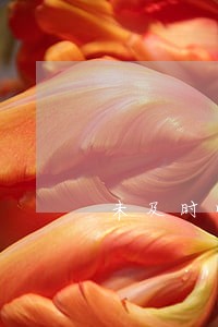 未及时收到短信导致信用卡逾期 未及时收到短信导致信用卡逾期