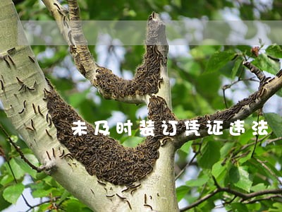 未及时装订凭证违法 未及时装订凭证违法