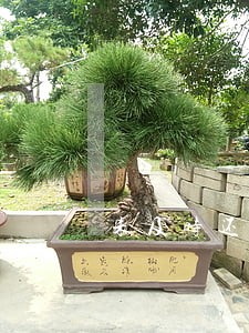 未及时还息产生的逾期信息 未及时还息产生的逾期信息