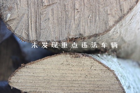 未发现重点违法车辆 未发现重点违法车辆