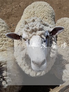 未发生涉税业务逾期办理税务登记 未发生涉税业务逾期办理税务登记