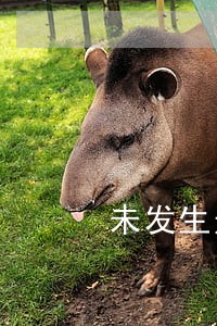未发生过逾期的助学贷款记录 未发生过逾期的助学贷款记录