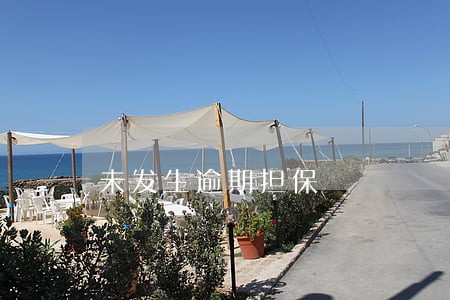 未发生逾期担保 未发生逾期担保