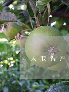 未取得产权登记法院不予受理 未取得产权登记法院不予受理