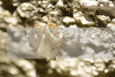 未变更就学信息导致逾期 未变更就学信息导致逾期
