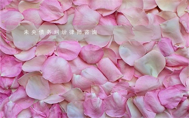 未央债务纠纷律师咨询 未央债务纠纷律师咨询