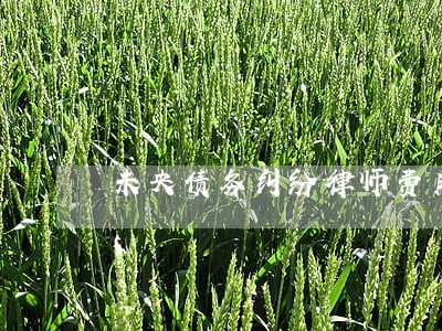 未央债务纠纷律师费用 未央债务纠纷律师费用