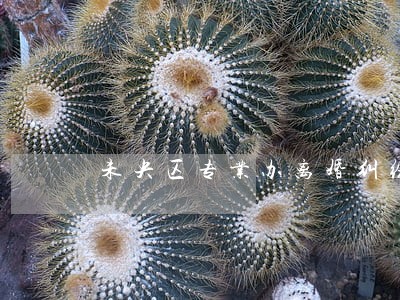 未央区专业办离婚纠纷律师 未央区专业办离婚纠纷律师