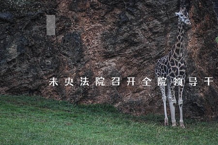 未央法院召开全院领导干部大会 未央法院召开全院领导干部大会