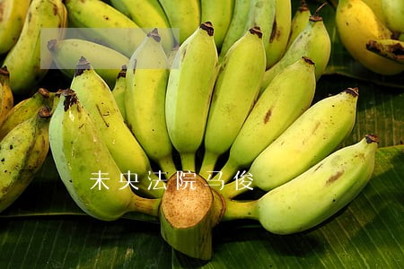 未央法院马俊 未央法院马俊