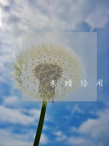 未婚信用卡逾期结婚后债务